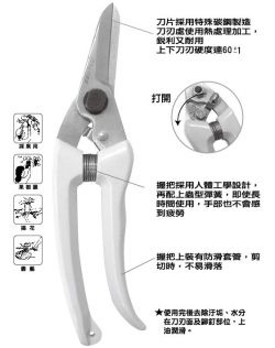 點選放大