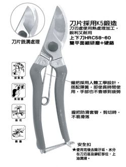 點選放大