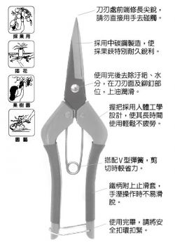 點選放大