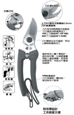 點選放大