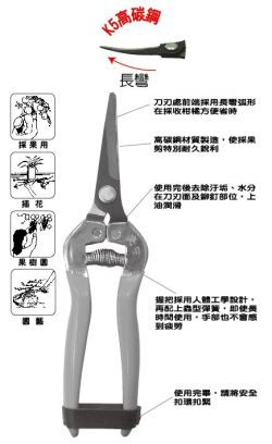 點選放大