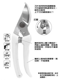 點選放大