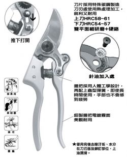 點選放大