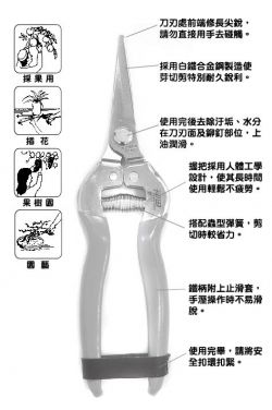 點選放大