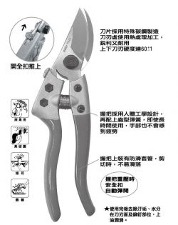 點選放大